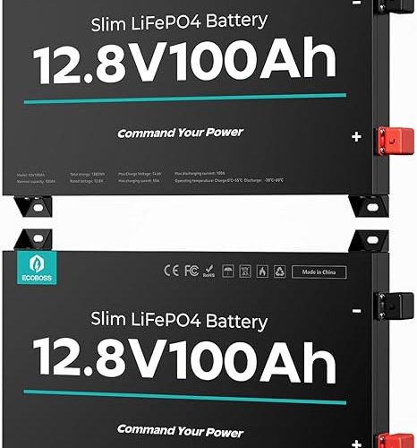 2025052701 2Packs 12V 100Ah LiFePO4 Battery