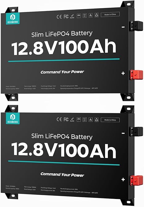 2Packs 12V 100Ah LiFePO4 Battery