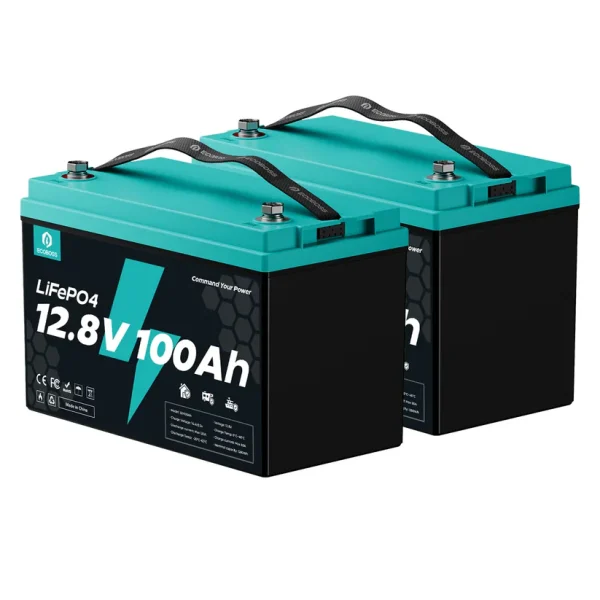 ecoboss 100ah lifepo4 battery