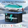 ecoboss 100ah lifepo4 battery