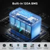 ecoboss 100ah lifepo4 battery
