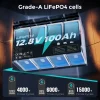 ecoboss 100ah lifepo4 battery