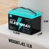 ecoboss 100ah lifepo4 battery