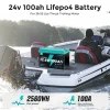 ecoboss 100ah lifepo4 battery