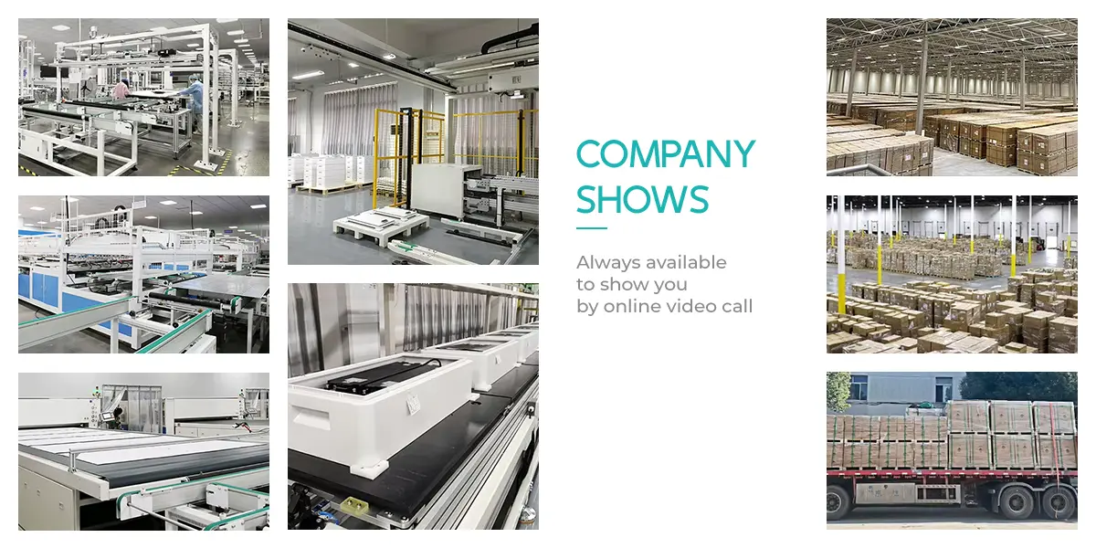 company show